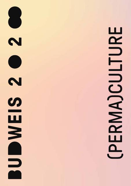 České Budějovice (Budweis), Bid book · 2028